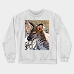 Wallaby Crewneck Sweatshirt